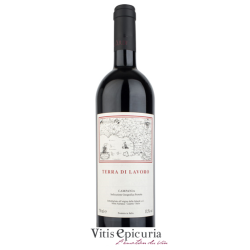 Domaine GALARDI TERRA DI LAVORO 2017