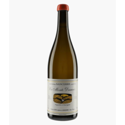 Domaine COTAT PASCAL LES MONTS DAMNES 2022