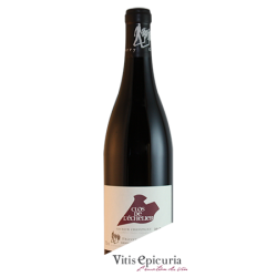 Domaine DES ROCHES NEUVES LE CLOS DE L'ECHELIER 2021