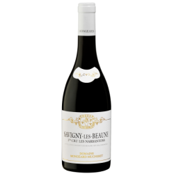 Domaine MONGEARD-MUGNERET LES NARBANTONS 2022