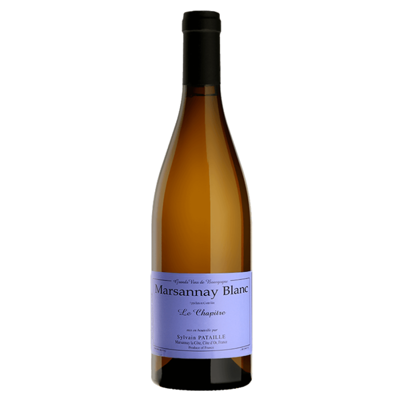 Domaine PATAILLE SYLVAIN LE CHAPITRE 2023