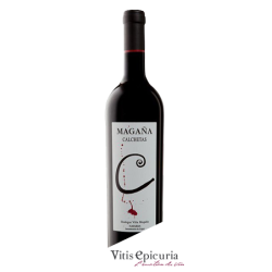 Domaine VIÑA MAGAÑA CALCHETAS 2004