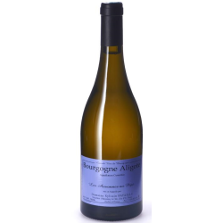 Domaine PATAILLE SYLVAIN AUVONNES AU PEPE 2020