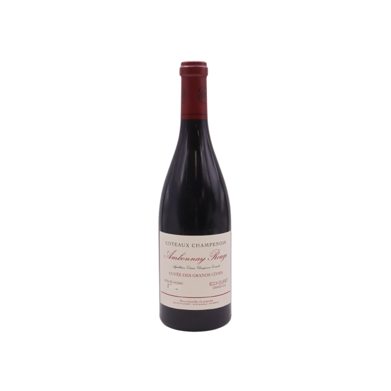 EGLY OURIET AMBONNAY 2009