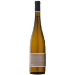 Domaine PILON JULIEN VIOGNIER FRONTIERE SEYSSUEL 2022