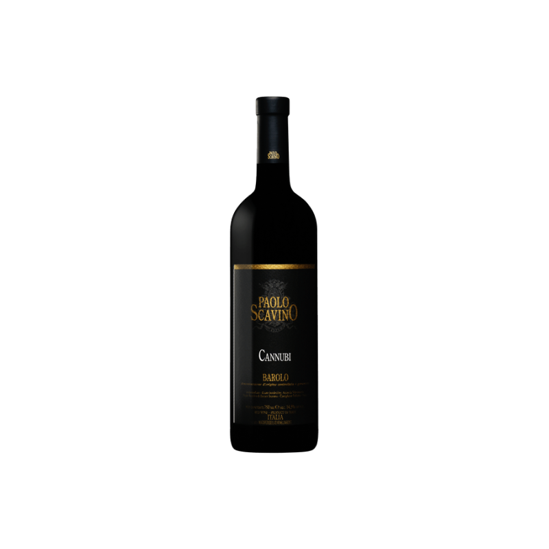 Domaine SCAVINO PAOLO CANNUBI 2005