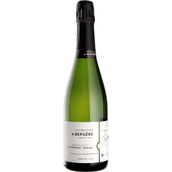 ANDRE BERGERE LES PEIGNOTTES 2017