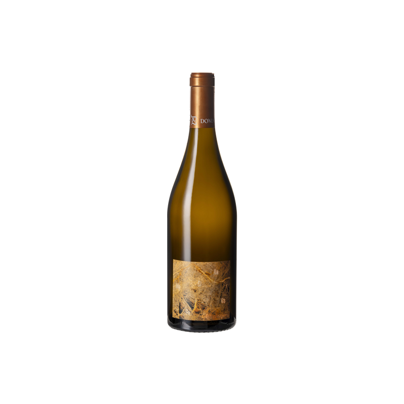 Domaine LUNEAU-PAPIN TERRE DE PIERRE 2022