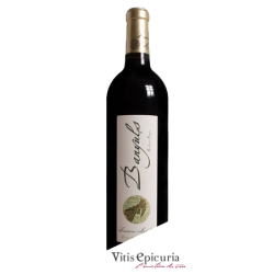 Domaine MADELOC ROBERT PAGES