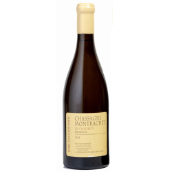 Domaine COLIN MOREY LES CAILLERETS 2010