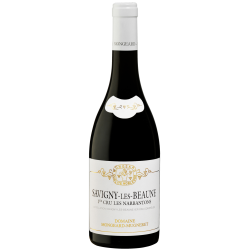 Domaine MONGEARD-MUGNERET LES NARBANTONS 2020