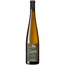 Domaine CHAPOUTIER - SCHIEFERKOPF - RIESLING - LIEU-DIT FELS 2025 PRIMEUR