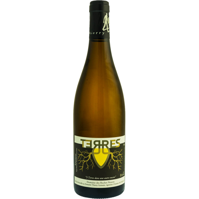 Domaine DES ROCHES NEUVES TERRES AMPHORE 2022