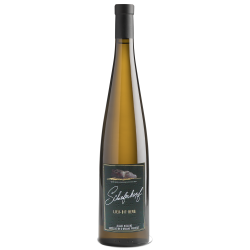 Domaine CHAPOUTIER - SCHIEFERKOPF - RIESLING - LIEU-DIT BERG 2025 PRIMEUR