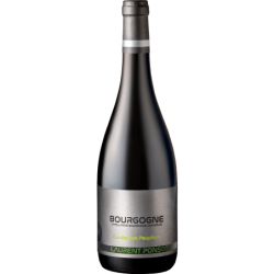 LAURENT PONSOT CUVEE DES PEUPLIERS 2022