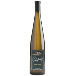 Domaine CHAPOUTIER - SCHIEFERKOPF - RIESLING - LIEU-DIT BUEHL 2025 PRIMEUR