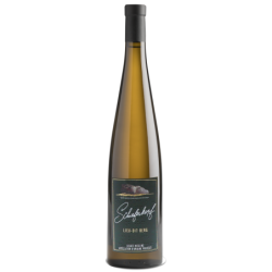 Domaine CHAPOUTIER - SCHIEFERKOPF - RIESLING - LIEU-DIT BERG 2025 PRIMEUR