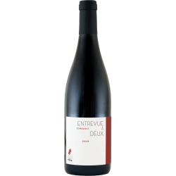 Domaine VILLA HUGO ET PAULINE CINSAULT ENTREVUE A DEUX 2023