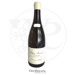 Domaine SAUZET ETIENNE LA GARENNE 2020