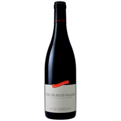 Domaine DAVID DUBAND 2021