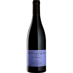 Domaine PATAILLE SYLVAIN LE CHAPITRE 2023