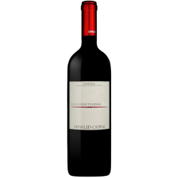 Domaine CAPRAI ARNALDO THE OUTSIDER 2004