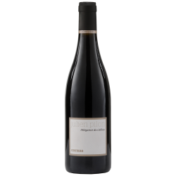 Domaine PILON JULIEN L'ELEGANCE DU CAILLOU 2022