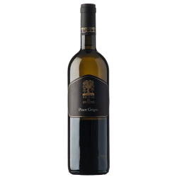 Domaine VIGNAI DA DULINE PINOT GRIGIO RONCO PITTOTI 2019