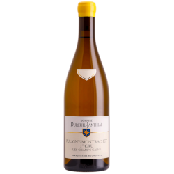 Domaine DUREUIL-JANTHIAL LES CHAMPS GAINS 2022