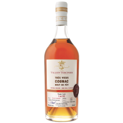 Domaine VALLEIN TERCINIER LOT 83