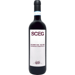 Domaine ELENA FUCCI SCEG 2023