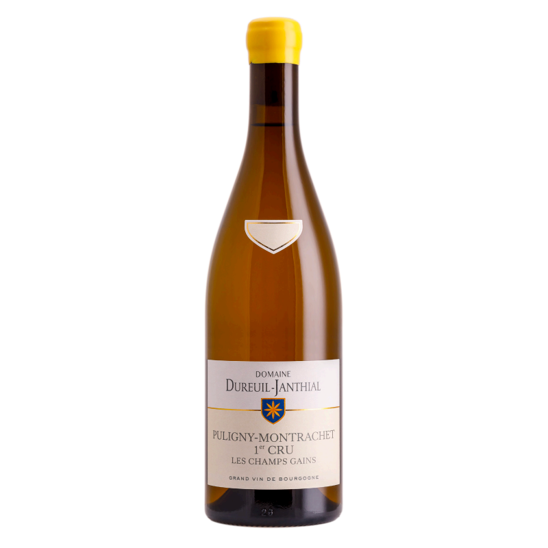 Domaine DUREUIL-JANTHIAL LES CHAMPS GAINS 2023