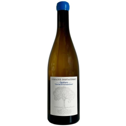 Domaine JEROME BRETAUDEAU GABBRO CLOS DES BOUQUINARDIERES 2024