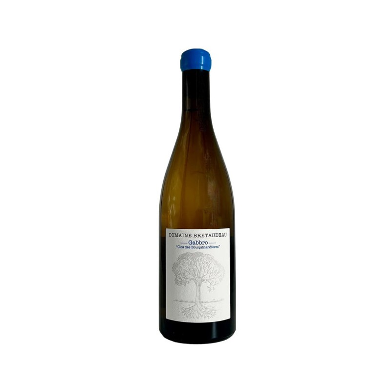 Domaine JEROME BRETAUDEAU GABBRO CLOS DES BOUQUINARDIERES 2024