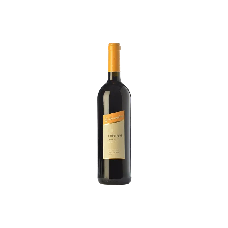 Domaine LAMBORGHINI CAMPOLEONE 2000
