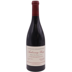 EGLY OURIET AMBONNAY 2009