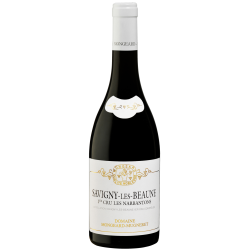 Domaine MONGEARD-MUGNERET LES NARBANTONS 2021