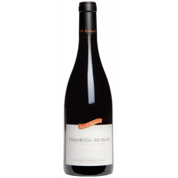 Domaine DAVID DUBAND 2023