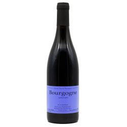 Domaine PATAILLE SYLVAIN 2022