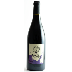 Domaine ROMAIN JAMBON CUVEE Y 2022