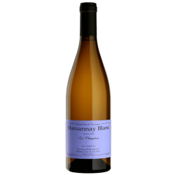Domaine PATAILLE SYLVAIN LE CHAPITRE 2023