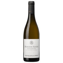 Domaine DARVIOT-PERRIN LES CHAMPS-LINS 2023