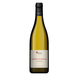Domaine VILLA PIERRE JEAN ESPRIT D'ANTAN VIOGNIER 2023