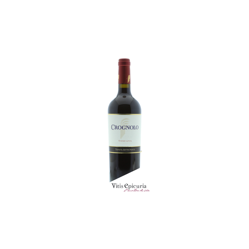 Domaine SETTE PONTI CROGNOLO 2001