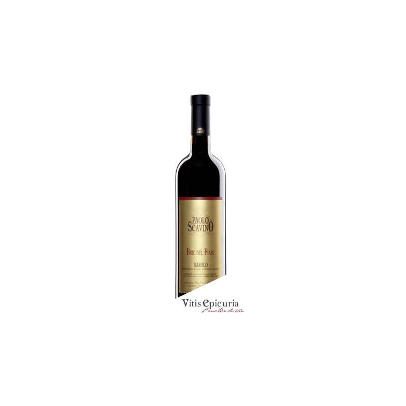 Domaine SCAVINO PAOLO BRIC DEL FIASC 2003