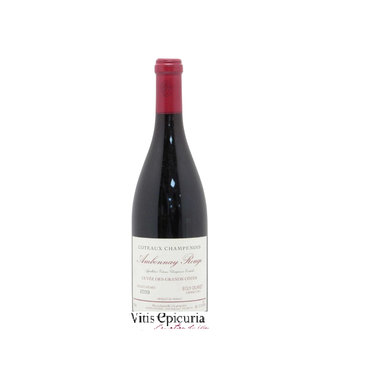 EGLY OURIET AMBONNAY 2009
