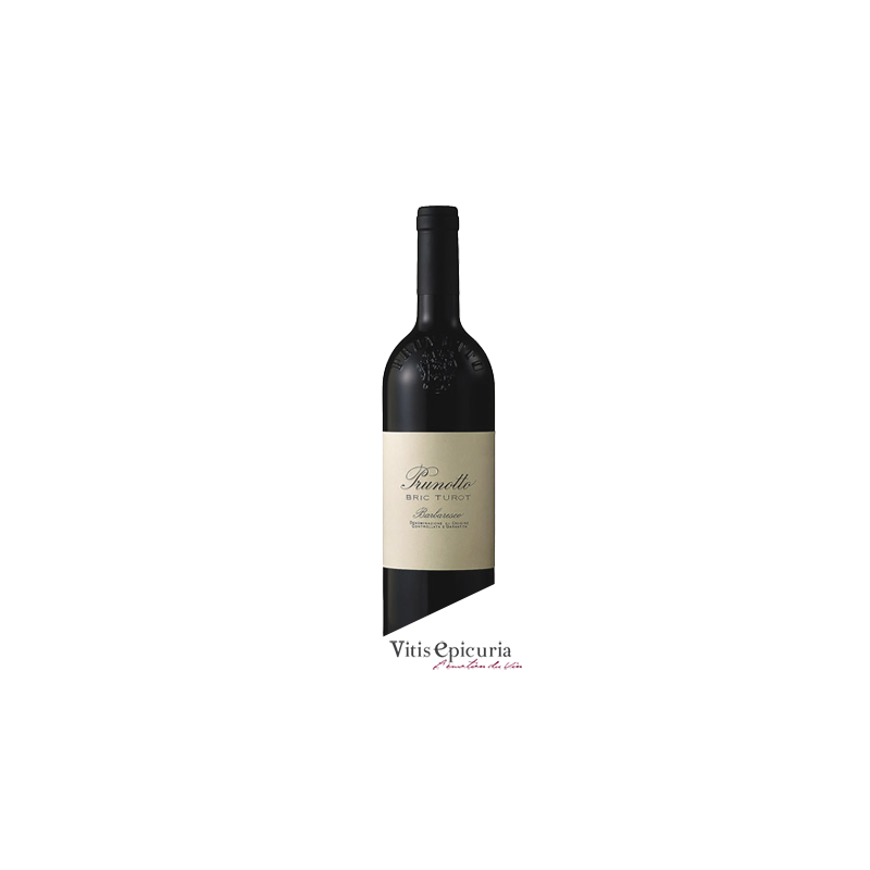 Domaine PRUNOTTO BRIC TUROT DOGG 2011
