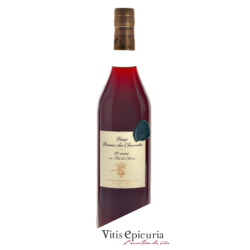Domaine VALLEIN TERCINIER VIEUX PINEAU ROUGE