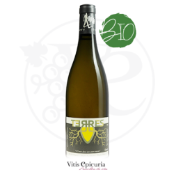 Domaine DES ROCHES NEUVES TERRES AMPHORE 2022