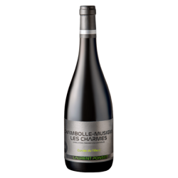 LAURENT PONSOT LES CHARMES, CUVEE DU TILLEUL 2021